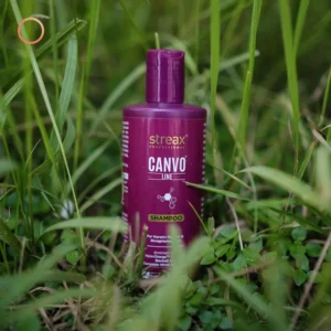 streax canvo line shampoo